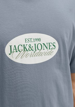 JACK JONES Jorcatskılls - 12297891 Erkek Gri  Bisiklet Yaka T-Shirt