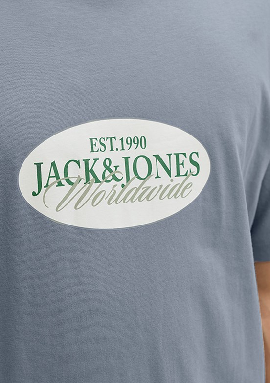 JACK JONES Jorcatskılls - 12297891 Erkek Gri  Bisiklet Yaka T-Shirt