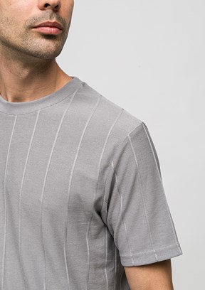 JOHNNY JOE - JOE42030 Erkek Gri Bisiklet Yaka T-Shirt
