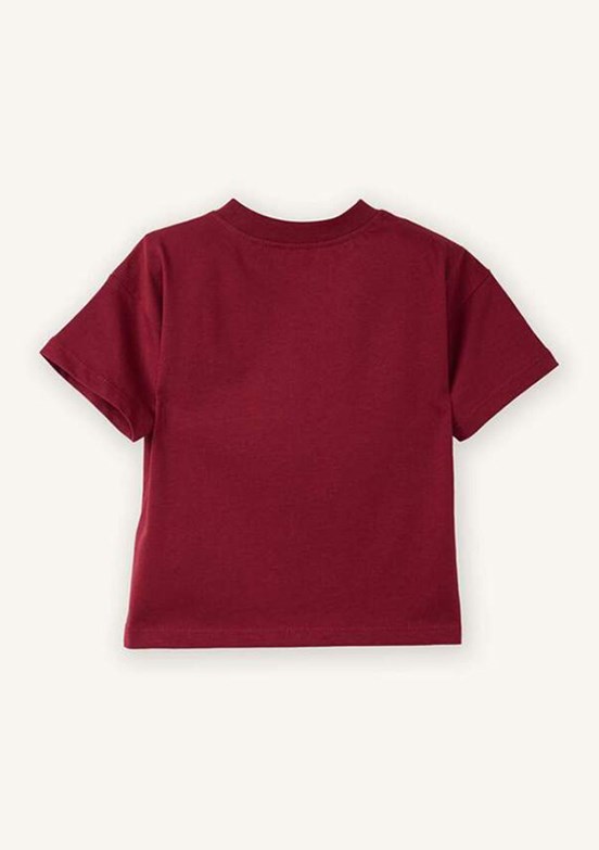 DEFACTO - G7478A5DFA Erkek Bebek Bordo Kısa Kol T-Shirt