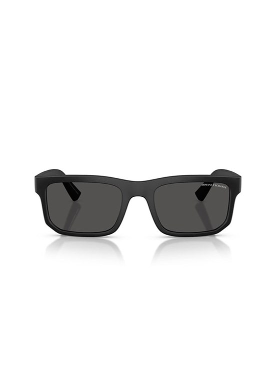 ARMANI EXCHANGE - 0AX4165S 80788756 Erkek Güneş Gözlüğü