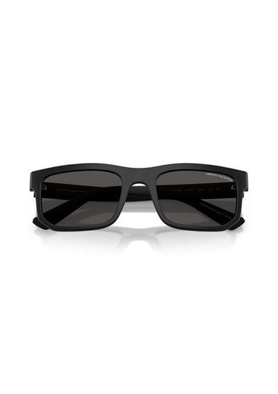 ARMANI EXCHANGE - 0AX4165S 80788756 Erkek Güneş Gözlüğü