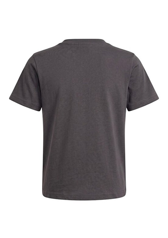 LUMBERJACK - A10220459110010 Erkek Çocuk Antrasit Kısa Kol T-Shirt